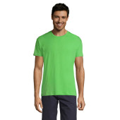 S11380-LM-M|lime