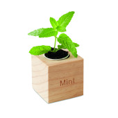 MO9337-40|fa|2