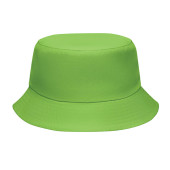MO2437-48|lime
