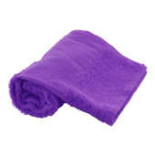 AP592998-13|lila