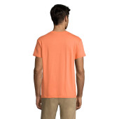 S11380-AT-3XL|sárgabarack|1