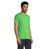 S11380-LM-S|lime|2