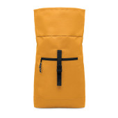 MO2170-78|ochre|3