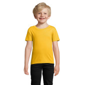 S03578-GO-M|arany