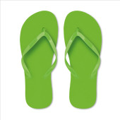 MO2587-48|lime
