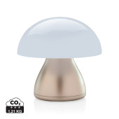 P513.749|bronz