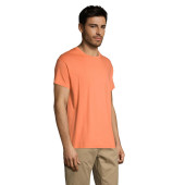S11380-AT-M|sárgabarack|2