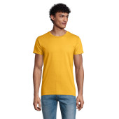 S03565-GO-M|arany