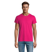 S03565-FU-M|fukszia