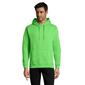 S47101-LM-S|lime